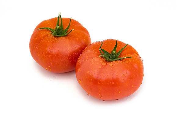 Tomato_24TT7724_16