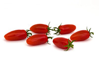 Tomato_DRTC8120_18