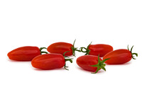 Tomato_DRTC8120_26