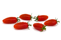 Tomato_DRTC8120_37