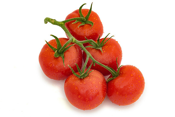 Tomato_DRTH1079_8