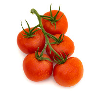 Tomato_DRTH1080_6