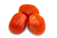 DRTJ4081