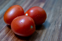Tomato_DRTJ4101_21