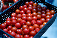 Tomato_DRTC8613_4