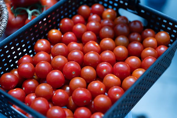 Tomato_DRTC8613_4