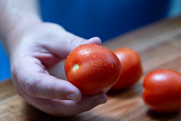 Tomato_DRTJ4101_48