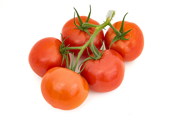 Tomato_Lidity_3