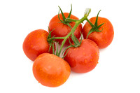 Tomato_Lidity_4