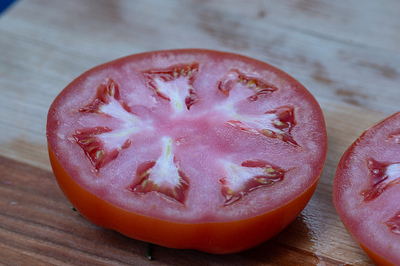Tomato_Riboski_5