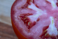 Tomato_Riboski_12