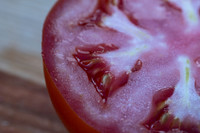 Tomato_Riboski_7