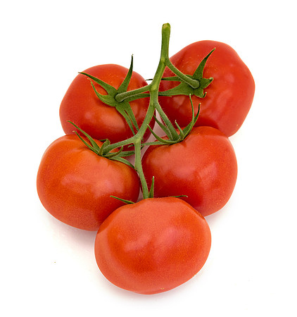 Tomato_Serenity_4