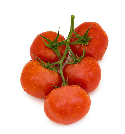 Tomato_Serenity_6