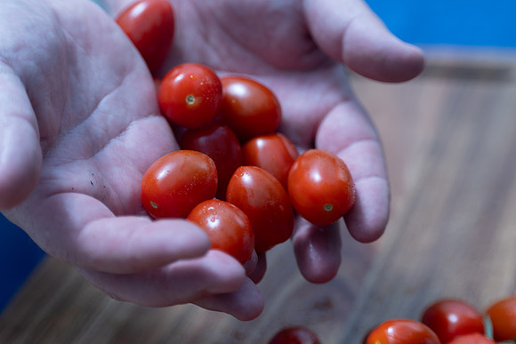 Tomatoes_DRTC8116_46