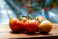Tomatoes_DRTH1075_14