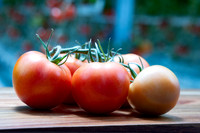 Tomatoes_DRTH1075_11