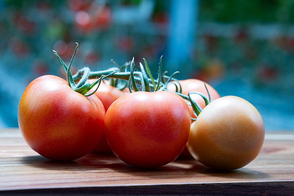 Tomatoes_DRTH1075_11