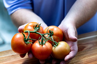 Tomatoes_DRTH1075_34