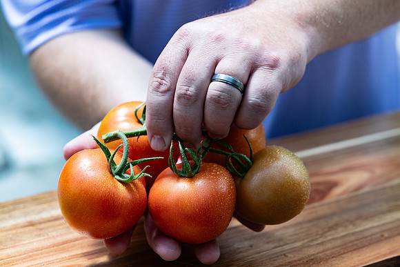 Tomatoes_DRTH1075_32
