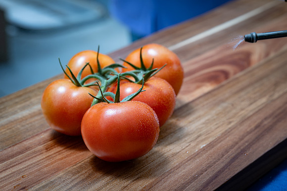 Tomatoes_Luminity_36