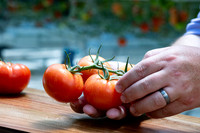 Tomatoes_Luminity_40