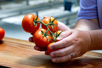 Tomatoes_Luminity_51