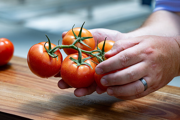 Tomatoes_Luminity_54