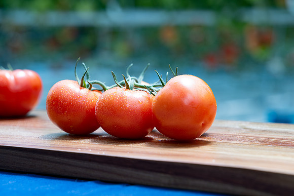 Tomatoes_Luminity_63