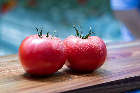 Tomatoes_Pinkmaru_20