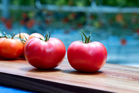 Tomatoes_Pinkmaru_4