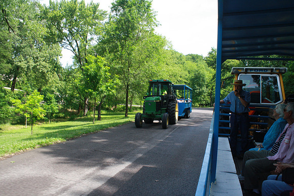 WHS_TrailDay_608