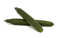 Cucumber_Yoletta_22