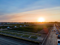Seminis2021_Woodland_1323