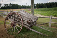 DeeDee_061