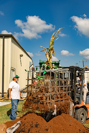 CornRootStudy_ScottMS_42
