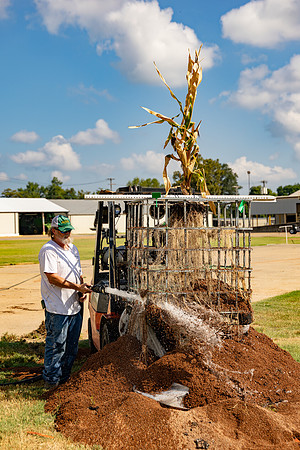 CornRootStudy_ScottMS_70