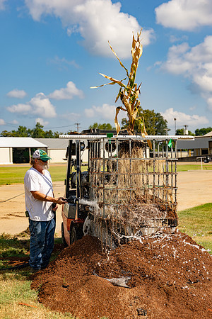 CornRootStudy_ScottMS_75
