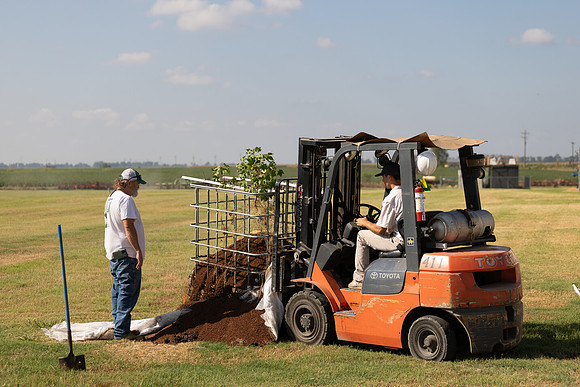 CottonRootStudy_ScottMS_6