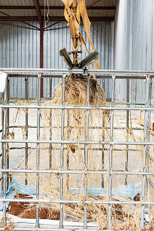 DKC115-55_CornRootStudy_ScottMS_20