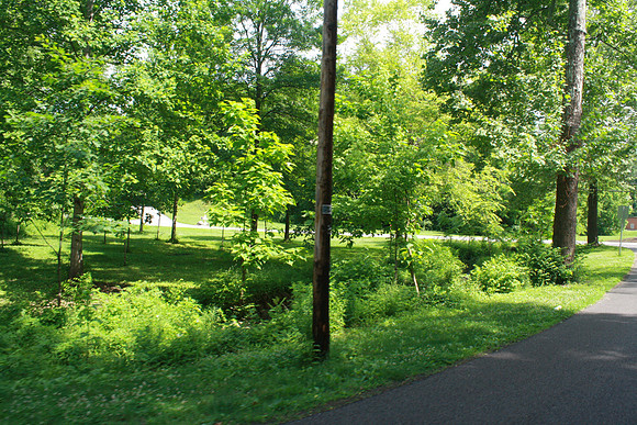 WHS_TrailDay_615