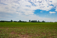 ThryvOn_2022_TurnageFarms_cdp_65