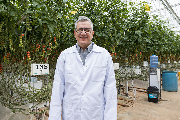 Seminis2023_MX_Wholesum_247