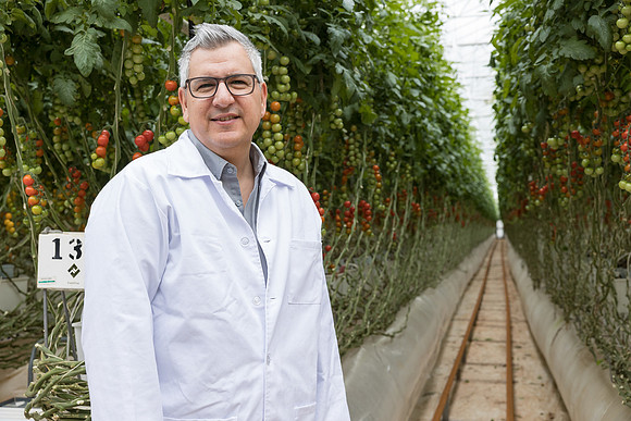 Seminis2023_MX_Wholesum_252