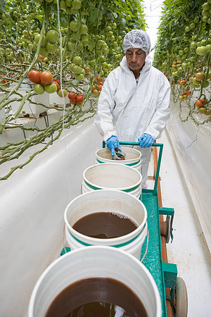 Seminis2023_MX_Wholesum_441