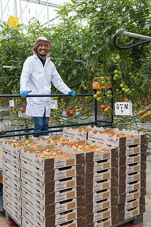 Seminis2023_MX_Wholesum_533