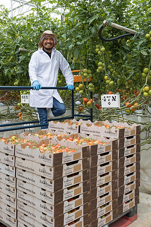 Seminis2023_MX_Wholesum_540