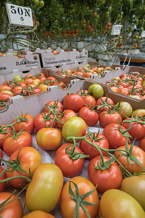 Seminis2023_MX_Wholesum_639