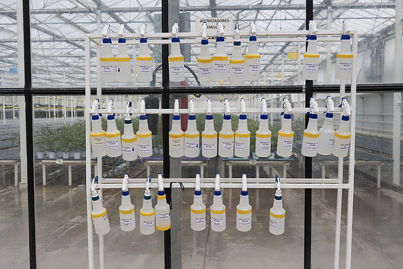 Seminis2023_MX_Wholesum_891