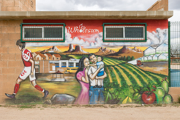 Seminis2023_MX_Wholesum_2026